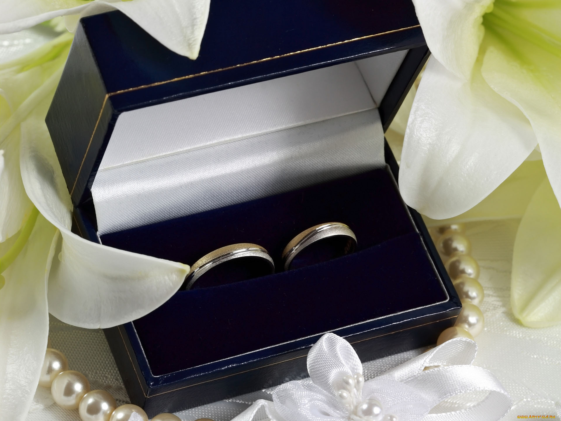 Замужество в подарок. Свадебные кольца в коробочке. Обручальное кольцо в коробочке. Бархатная коробочка для кольца.